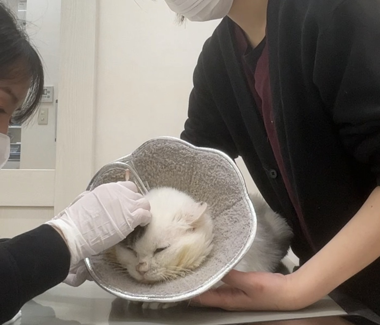 創部の経時的な様子